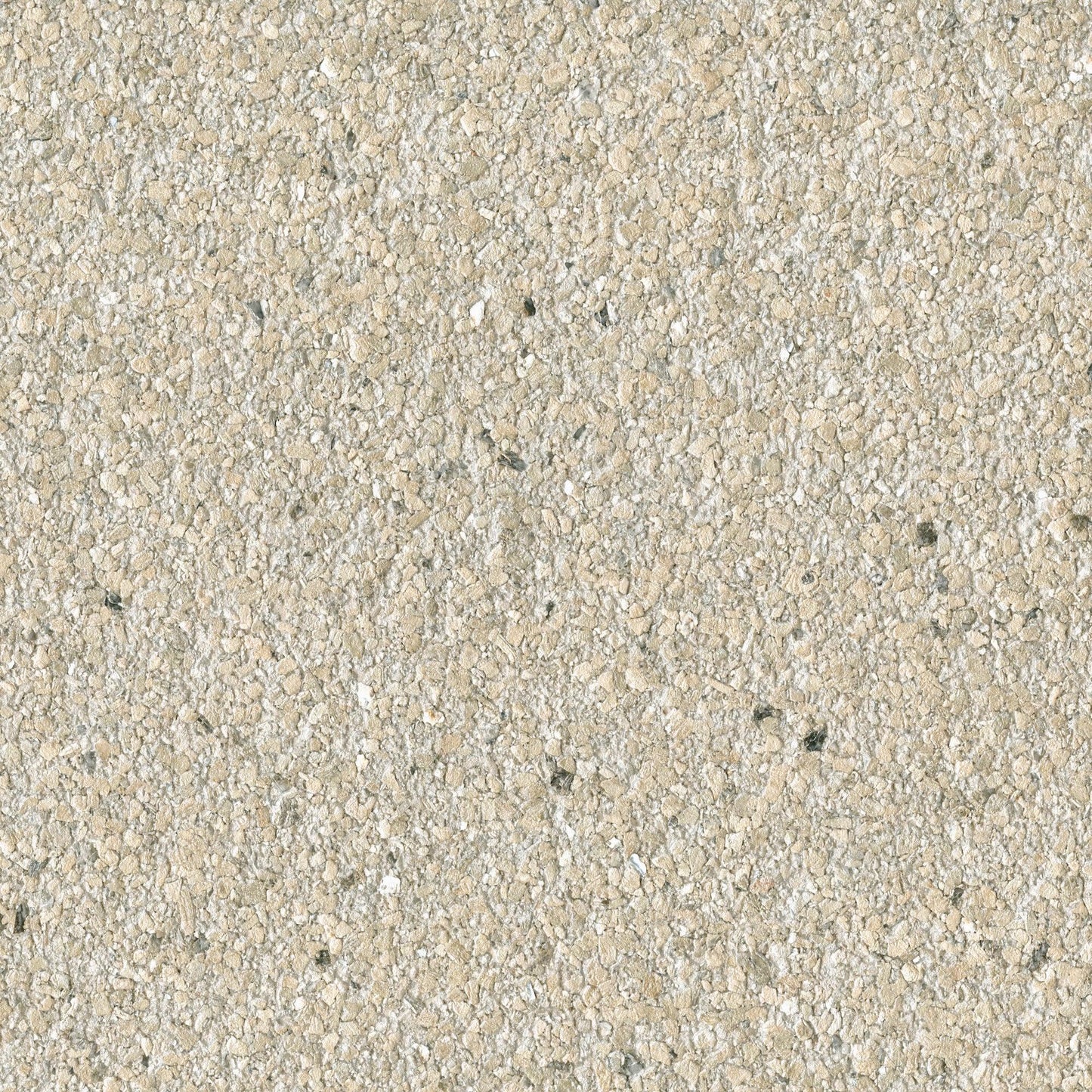 Beige-gray concrete surface with exposed aggregate stones; rough, gravelly pavement texture.