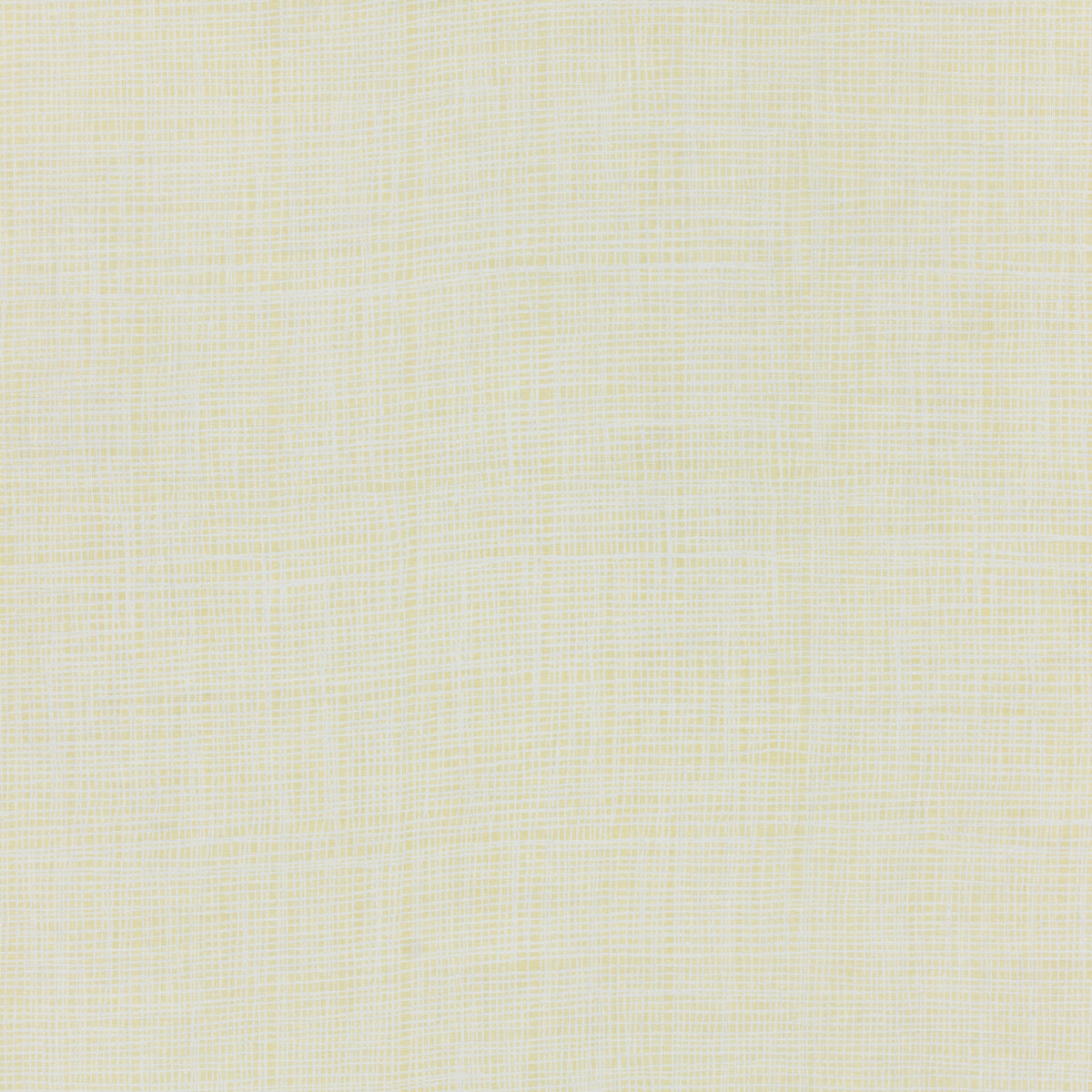 SCHUMACHER RAOUL TEXTILES FORMOSA PRINTS PRINTS HUSK - 908B48