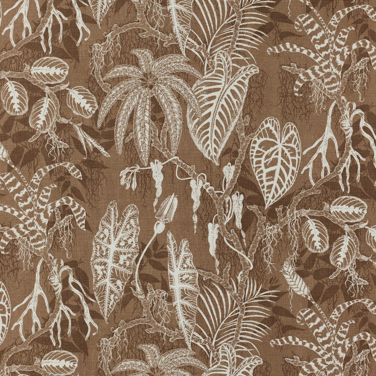 SCHUMACHER RAOUL TEXTILES FLORESTA PRINTS PRINTS CARDAMON - 912N23