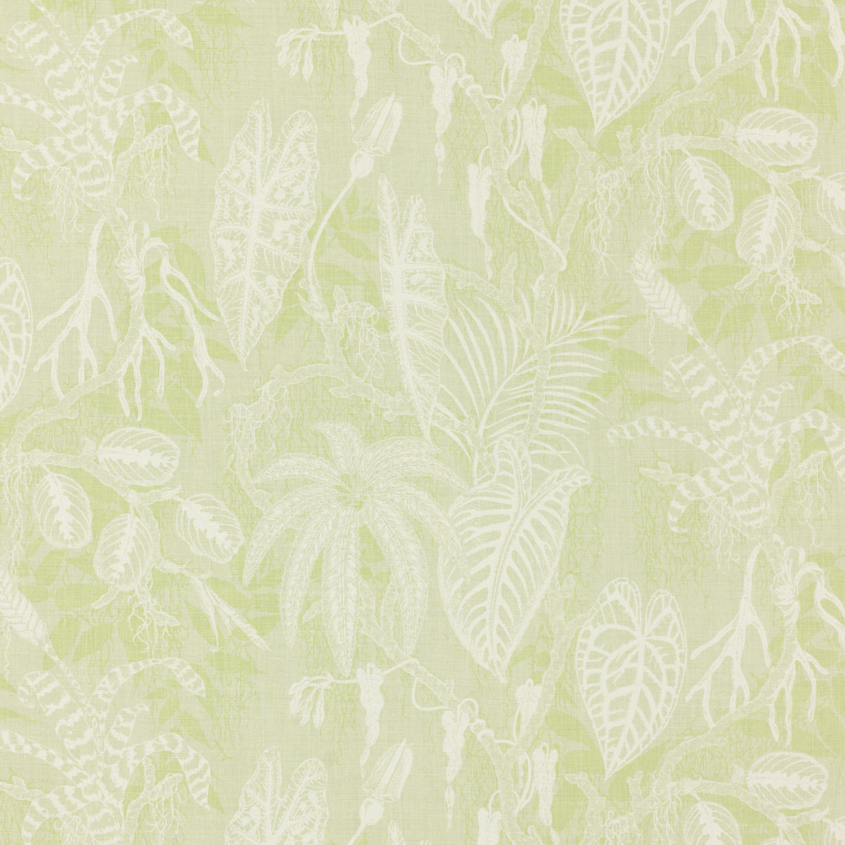 SCHUMACHER RAOUL TEXTILES FLORESTA PRINTS PRINTS THYME - 912V53