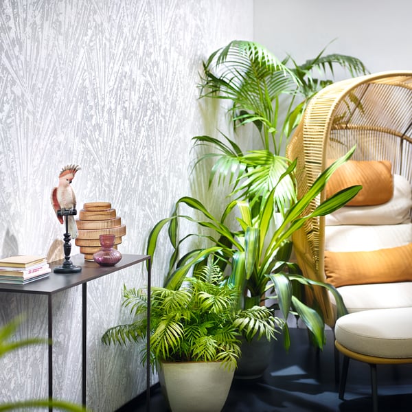 Galerie Wallcoverings Energy Fan Palm Galerie Wallcoverings Bronze, Brown - EN91935