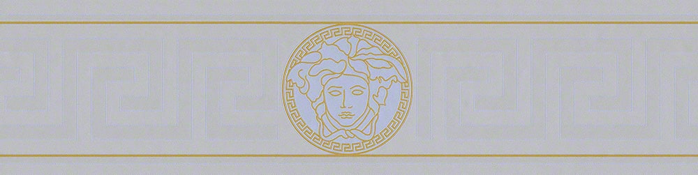 Versace Versace Volume 5 Magesty Border Medallion Contemporary Silvers & Pewters Border Box - 935225X