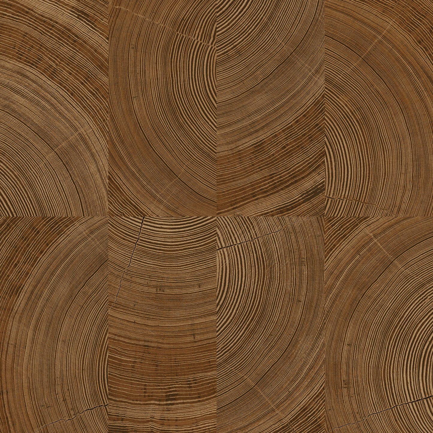 GALERIE WALLCOVERINGS Karuna Photographic, Motive Brown - KRA69101