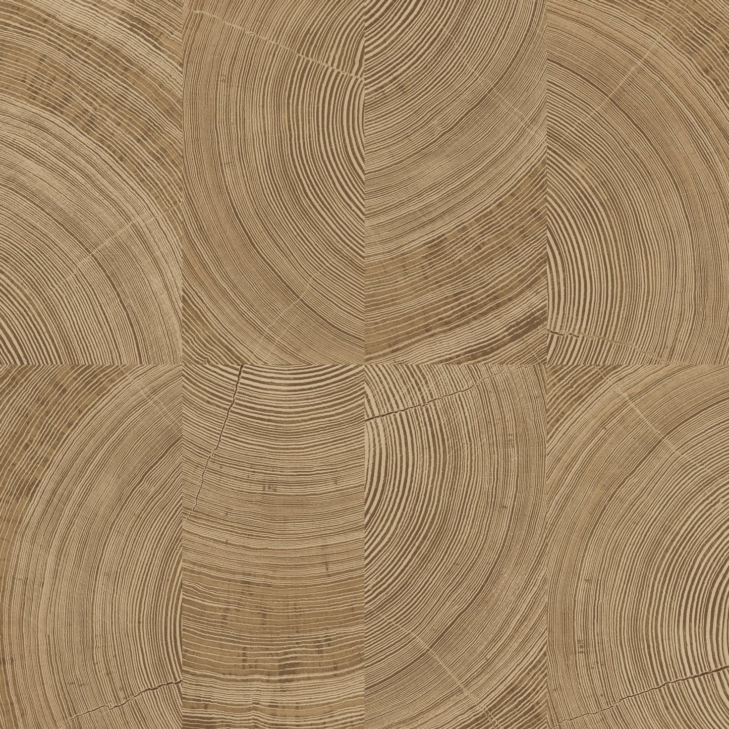 GALERIE WALLCOVERINGS Karuna Photographic, Motive Brown - KRA69102