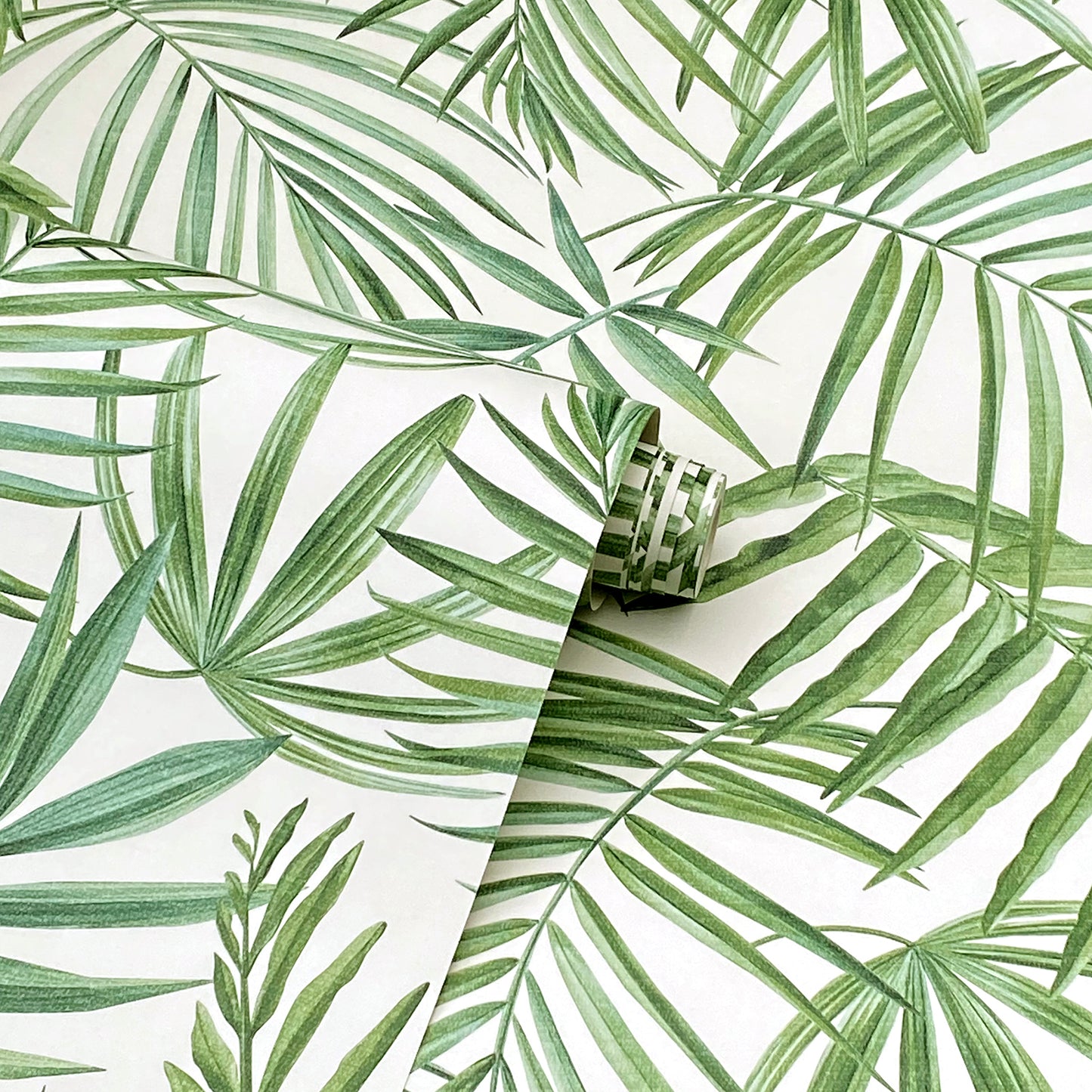 Green palm leaf wallpaper roll on white background; tropical botanical pattern.