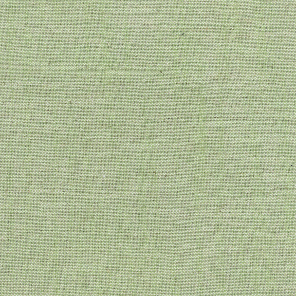 STOUT TEXTILES MULTIPURPOSE,TEXTURE TRADITIONAL, SOLID GRASS - AINS-25