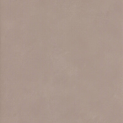 Soft taupe surface with a matte finish, smooth texture, suitable for interior design or wall applications.