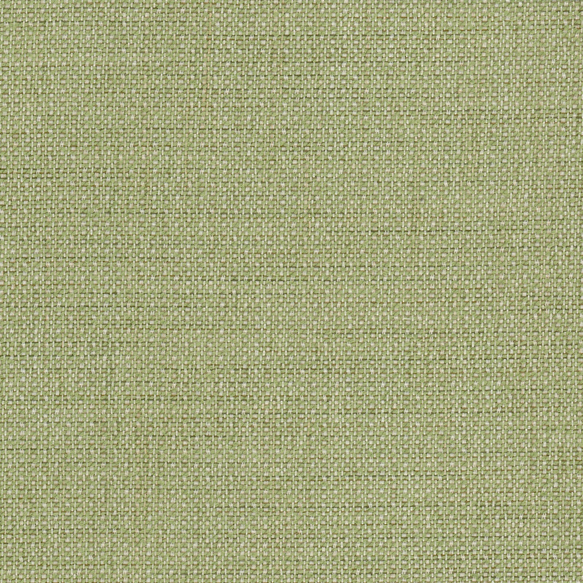 STOUT TEXTILES UPHOLSTERY,TEXTURE TRADITIONAL, SOLID APPLE,SEEDLING,SPRING - ARAM-1