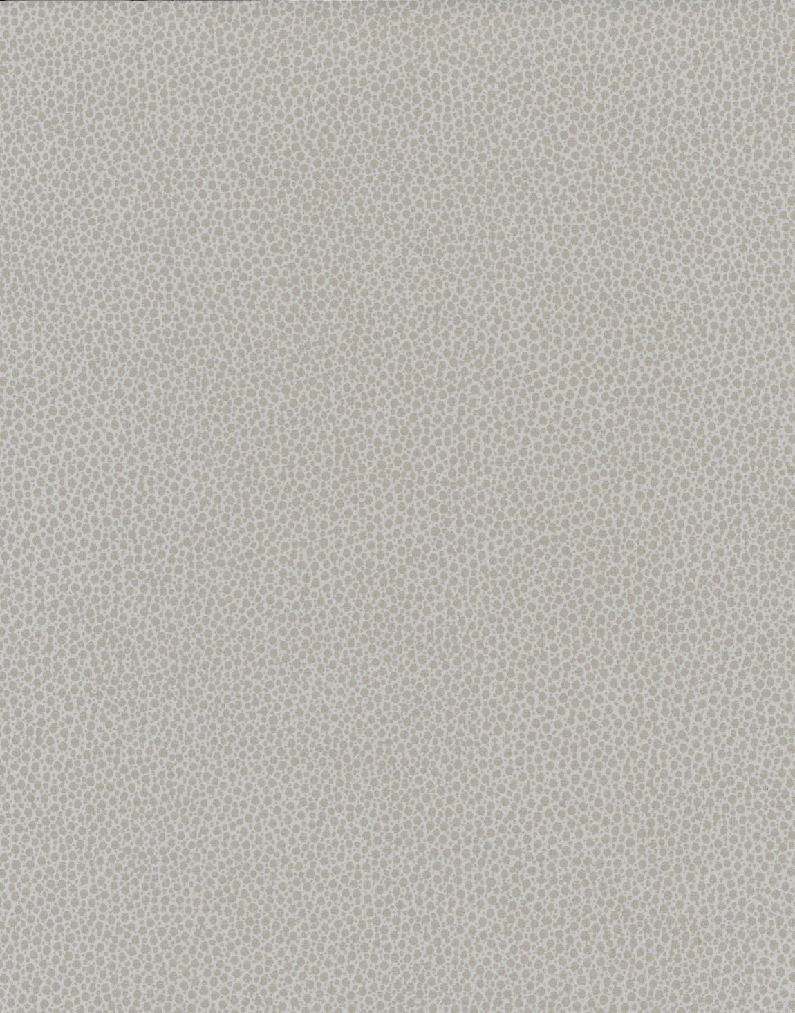 Vinyl wallcovering Canon Ball matte - NJ26ATL-1056