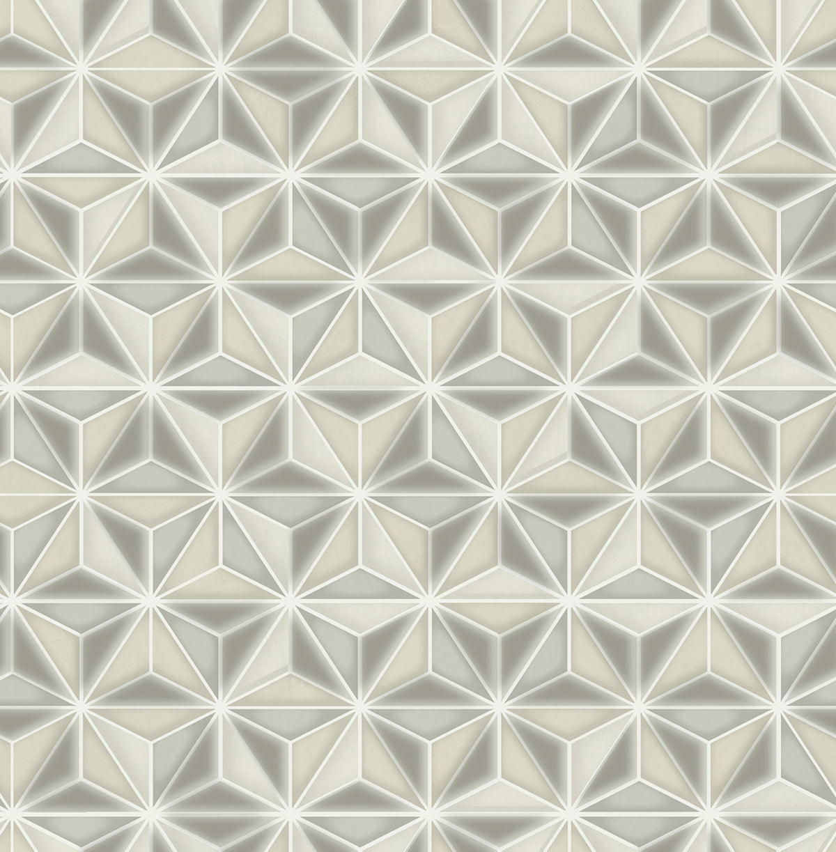 Seabrook Designs Avant Garde Einstein Geometric Geometric Transitional Silver Metallic - AV51408