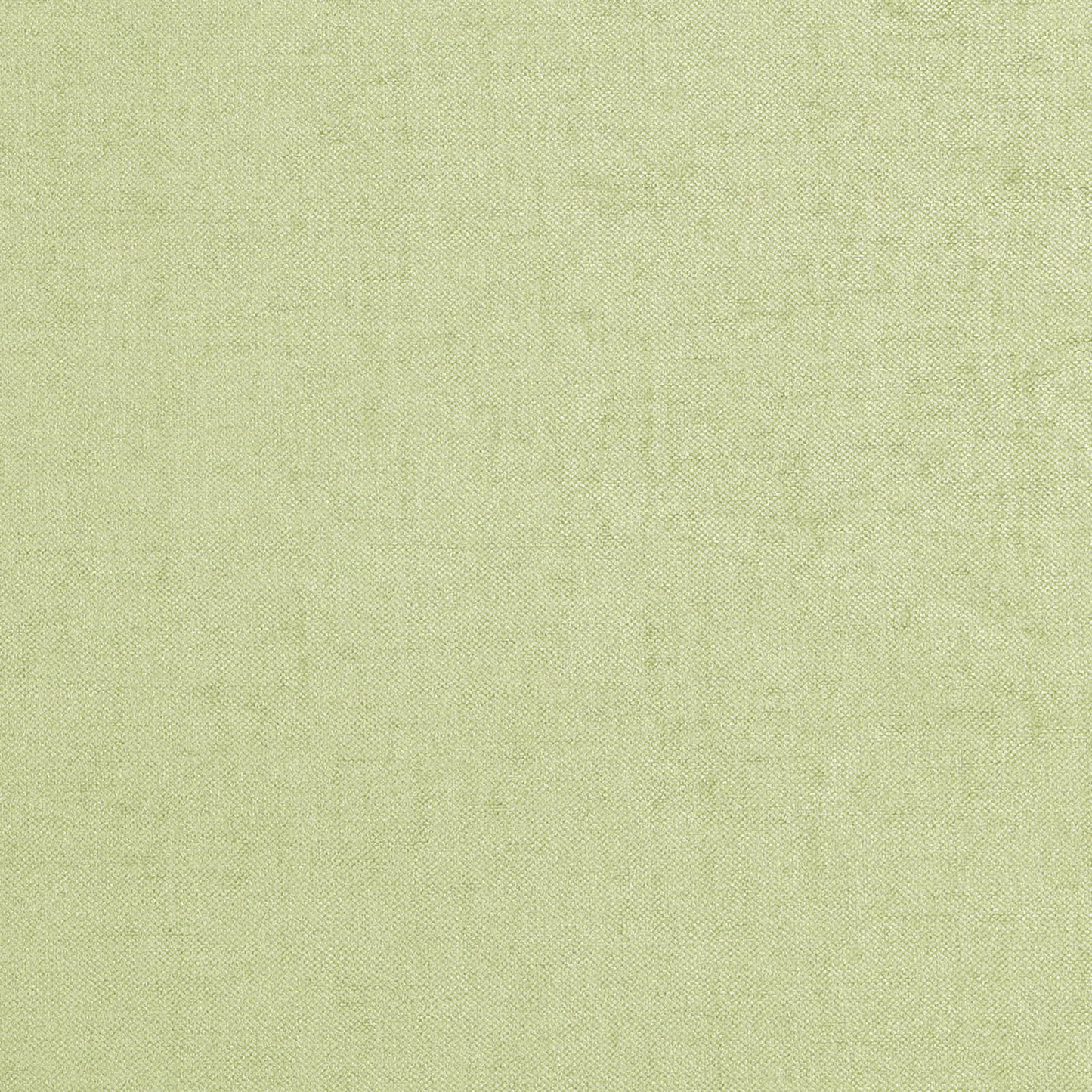 Plain green chenille fabric close-up, soft textured pile.