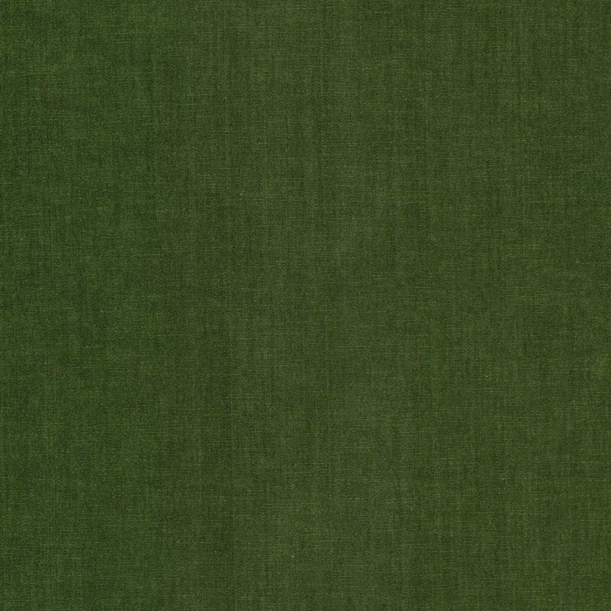 STOUT TEXTILES UPHOLSTERY,CHENILLE TRADITIONAL, SOLID CHIVE - BOUN-11