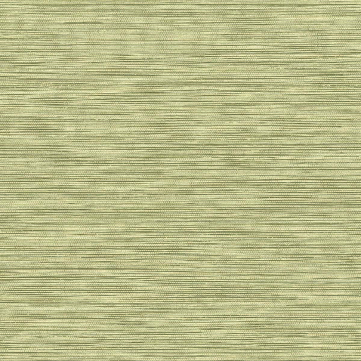 Seabrook Designs Texture Gallery Grasslands Faux Grasscloth Contemporary Green Matte - BV30104
