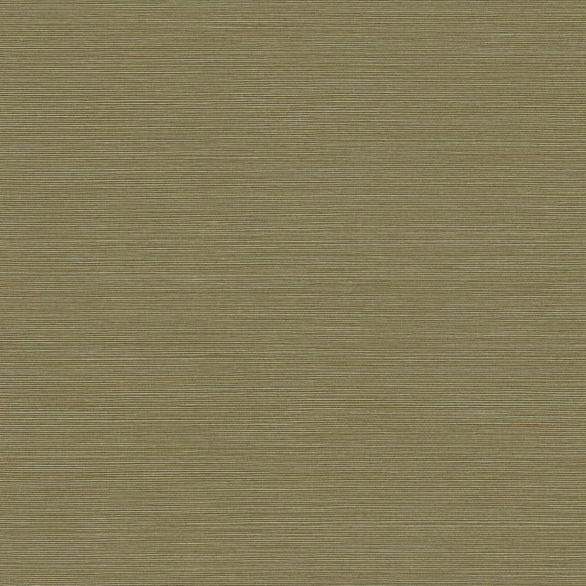 Seabrook Designs Texture Gallery Coastal Hemp Faux Grasscloth Contemporary Green Matte - BV30414