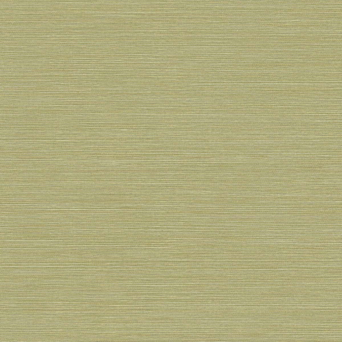 Seabrook Designs Texture Gallery Coastal Hemp Faux Grasscloth Contemporary Green Matte - BV30424