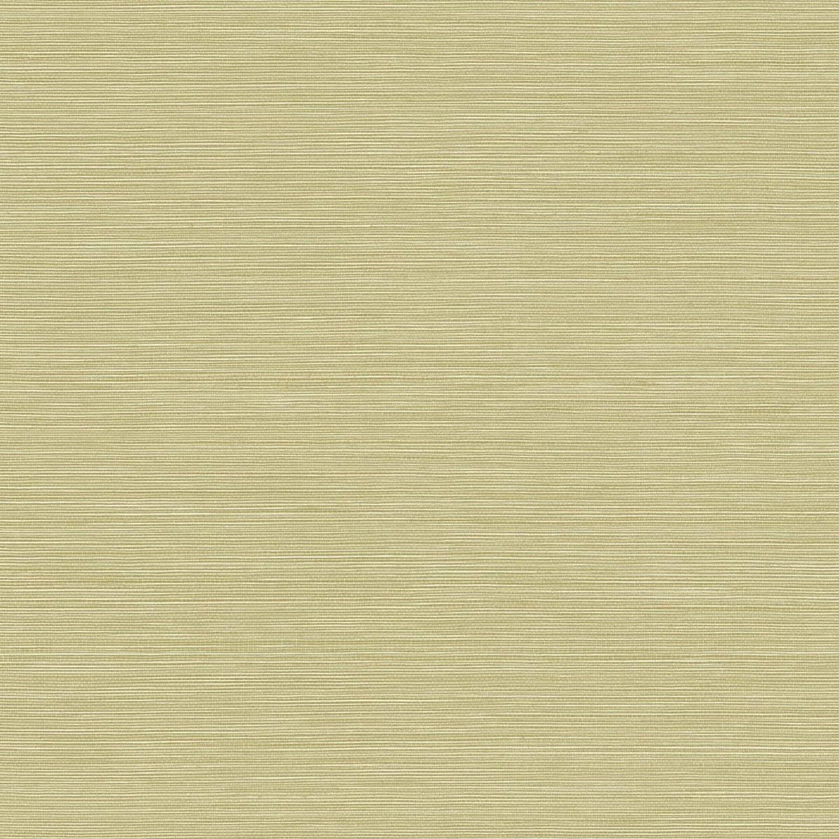 Seabrook Designs Texture Gallery Coastal Hemp Faux Grasscloth Contemporary Green Matte - BV30454