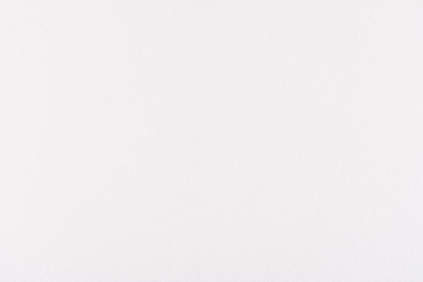 SCALAMANDRE CANVAS FABRIC OPTIC WHITE - C5 0143PEBB NEW SKU # C5PEBB0143