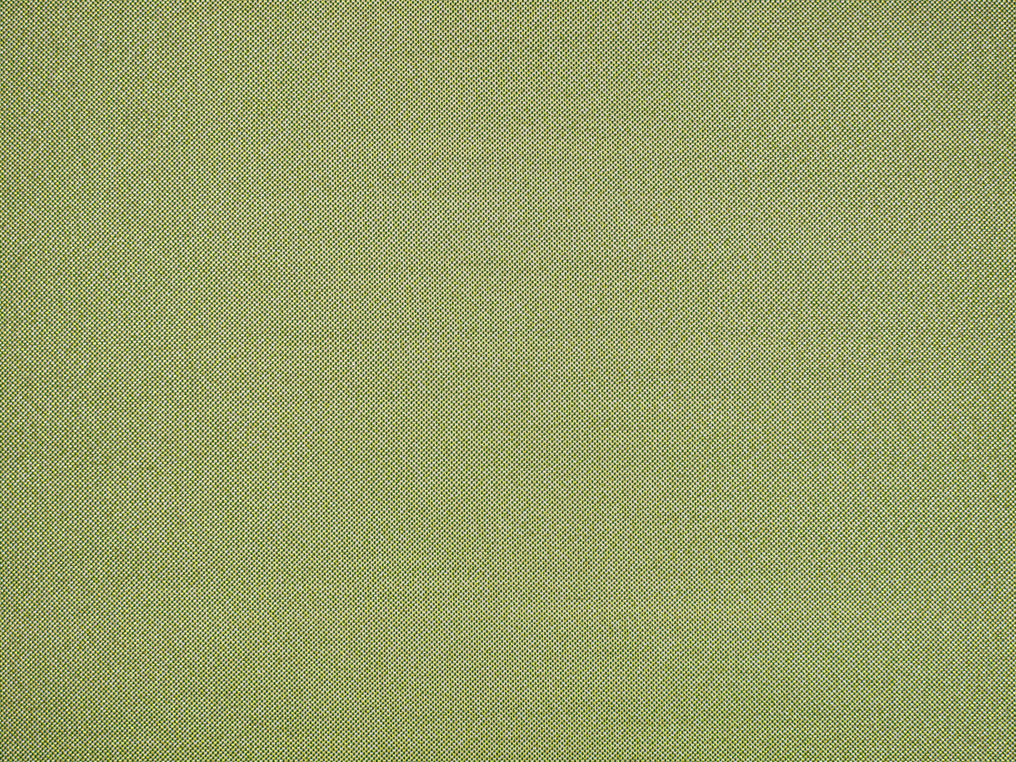 SCALAMANDRE OUTLET FABRIC TABBY FABRIC SPRING GREEN - CC 1030230P NEW SKU # CC230P1030