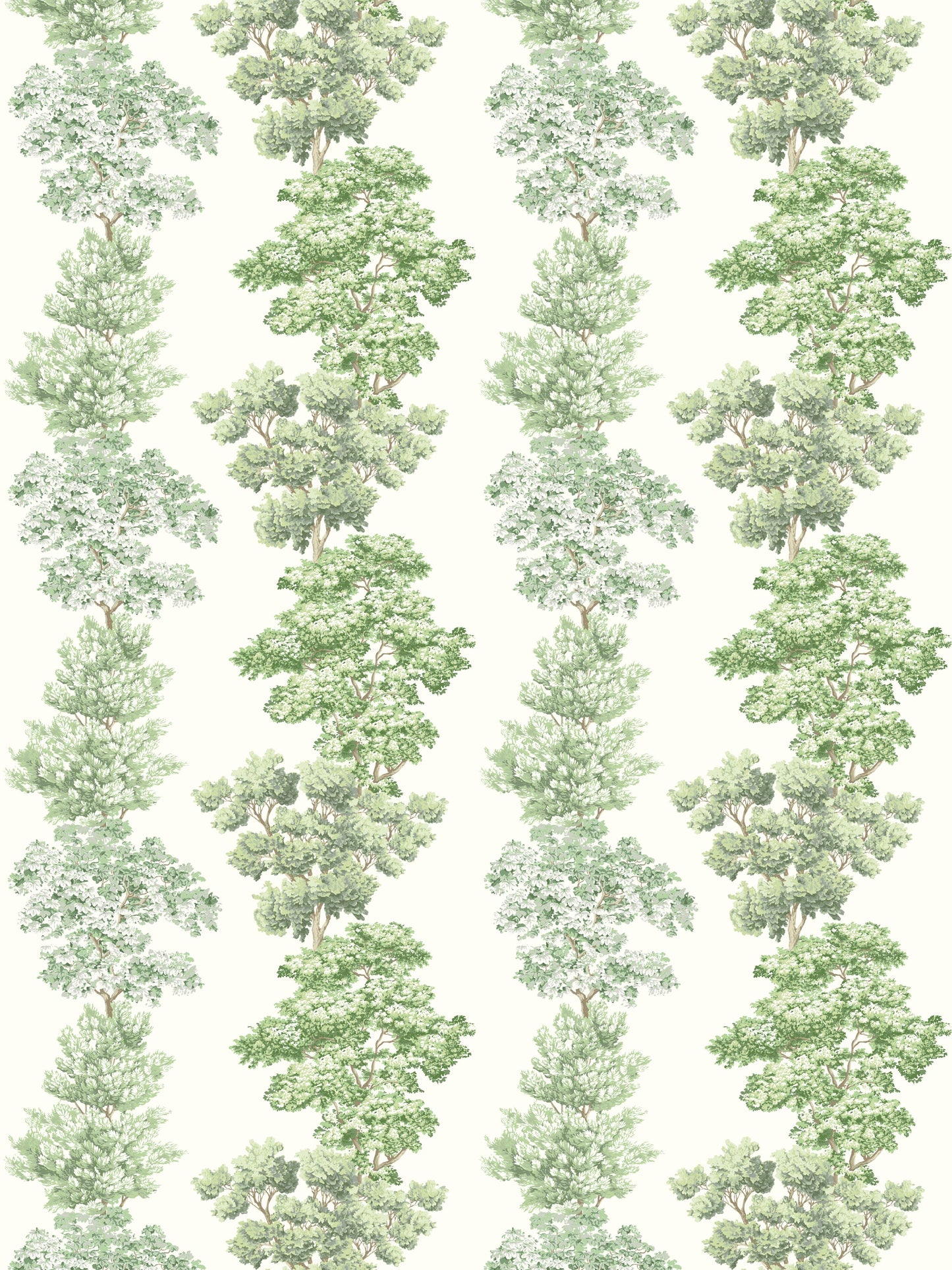 SCALAMANDRE CENTRAL PARK FABRIC GREEN - CN 00010071 NEW SKU # CN00710001