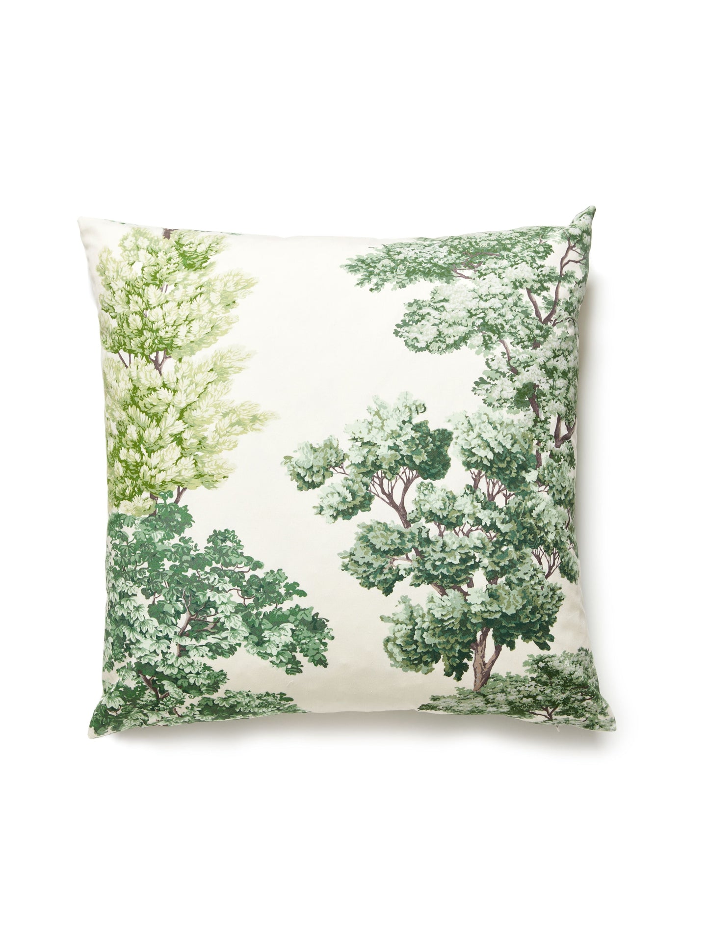 SCALAMANDRE PILLOWS BOTANICAL / FOLIAGE SQUARE - CN 0001SDDK0071 NEW SKU # CNSDDK00710001