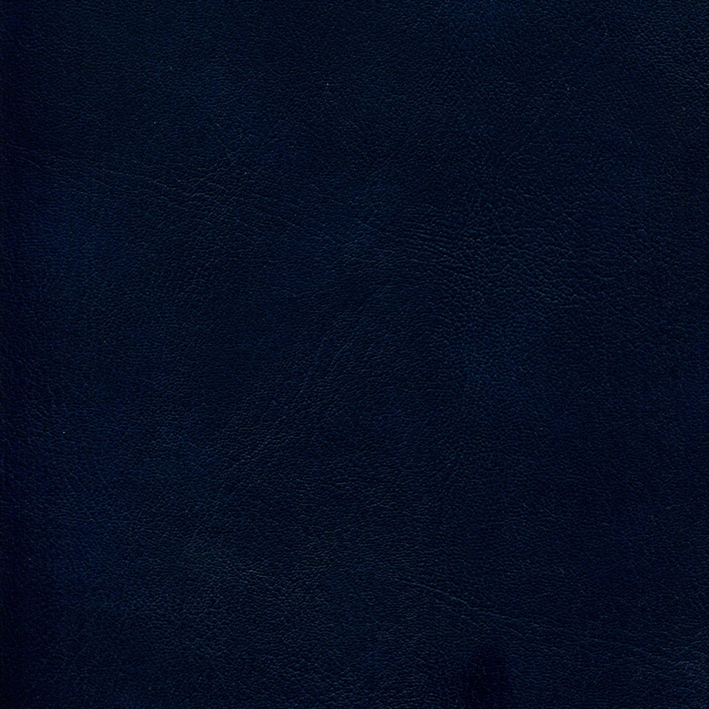 NICHOLASJOHN INC NJ-ECORIN Char Blue Fabric - NJ25-706