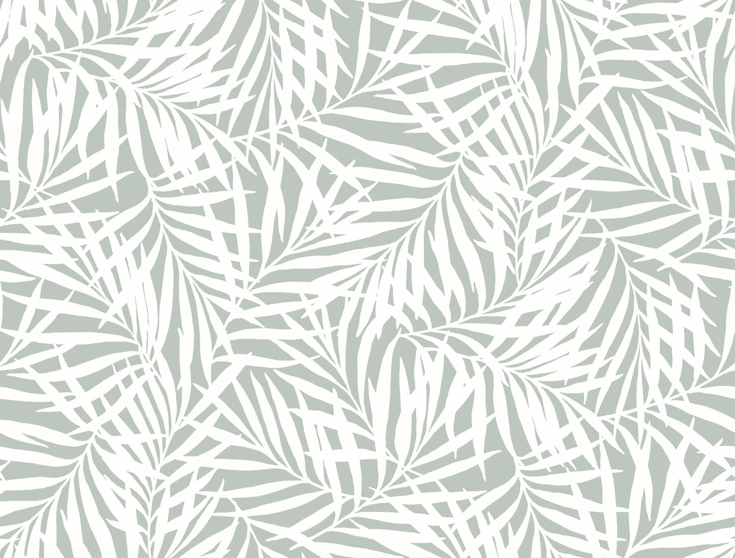 York Wallcoverings Earthy Tones Oahu Fronds Light Green & White Wallpaper Botanical Botanical Light Green & White - CV4434