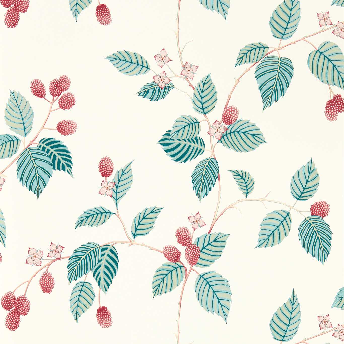 SANDERSON Rubus Wallpaper Leaves , Trees Raspberry Gravure Printed Wallpaper - DABW217228