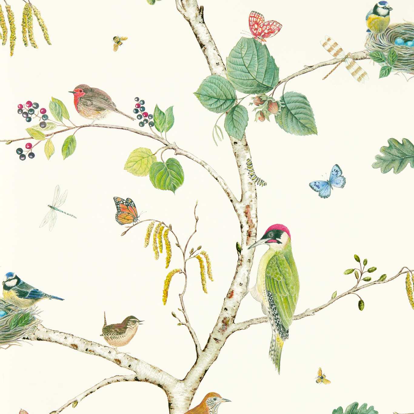 SANDERSON Woodland Chorus Wallpaper Birds Botanical,Multi Gravure Printed Wallpaper - DABW217230