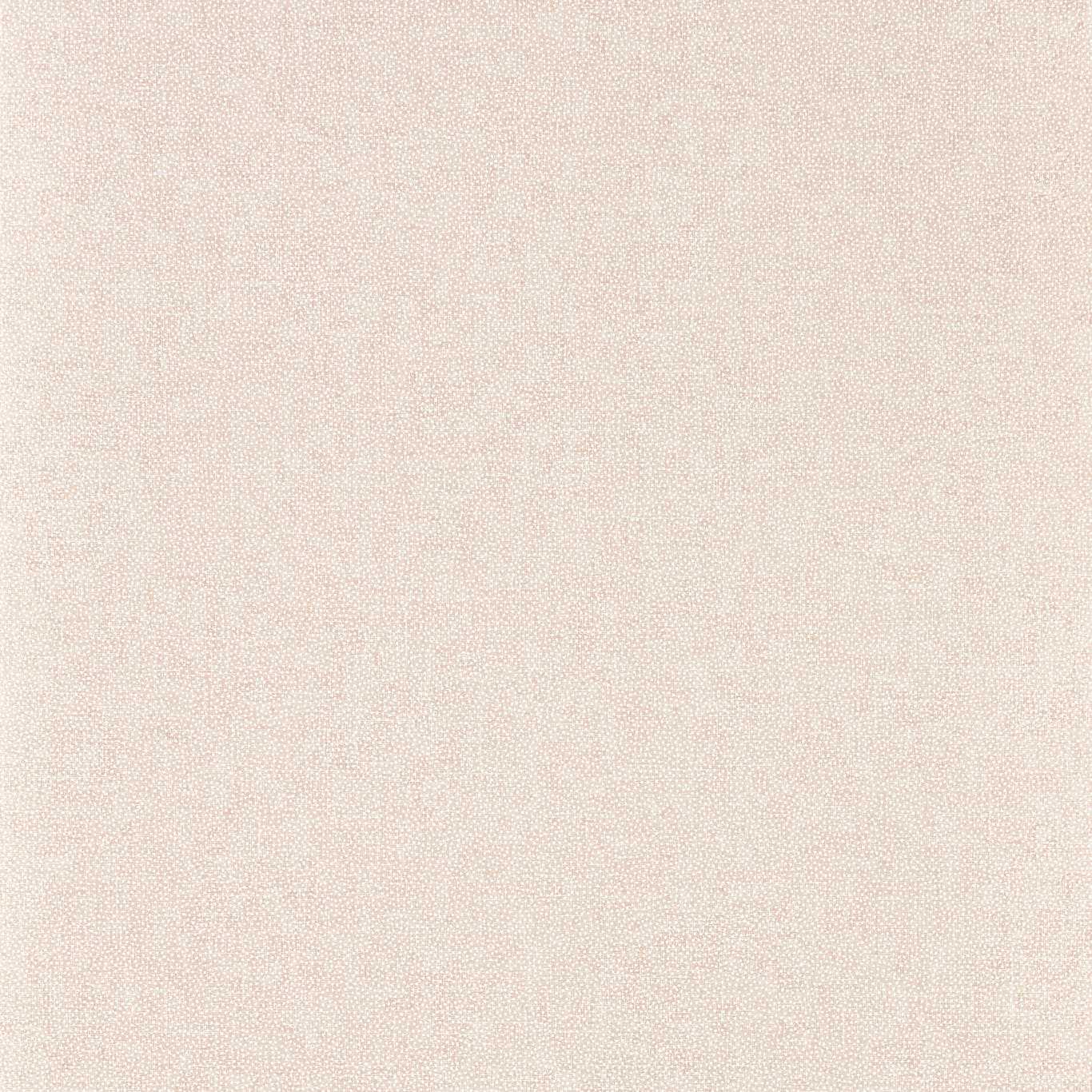 SANDERSON Sessile Plain Wallpaper Plains , Textures Wild Rose Gravure Printed Wallpaper - DABW217244