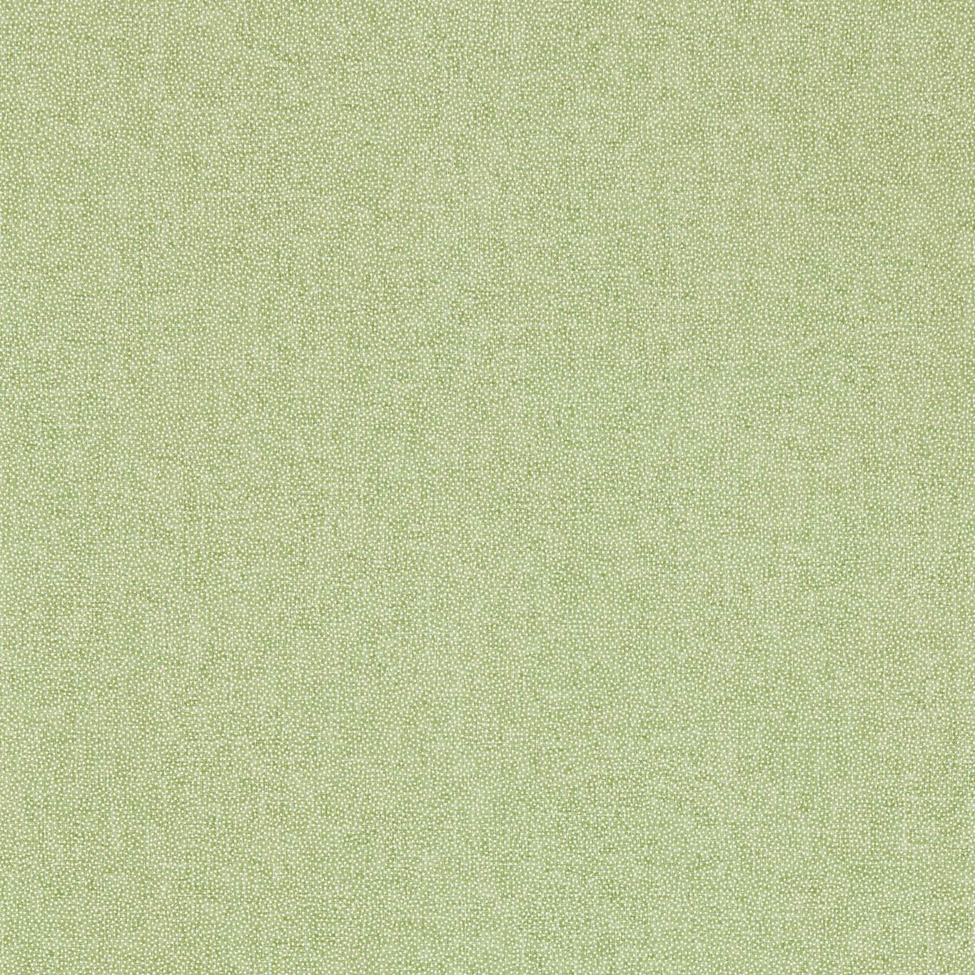 SANDERSON Sessile Plain Wallpaper Plains , Textures Moss Green Gravure Printed Wallpaper - DABW217248