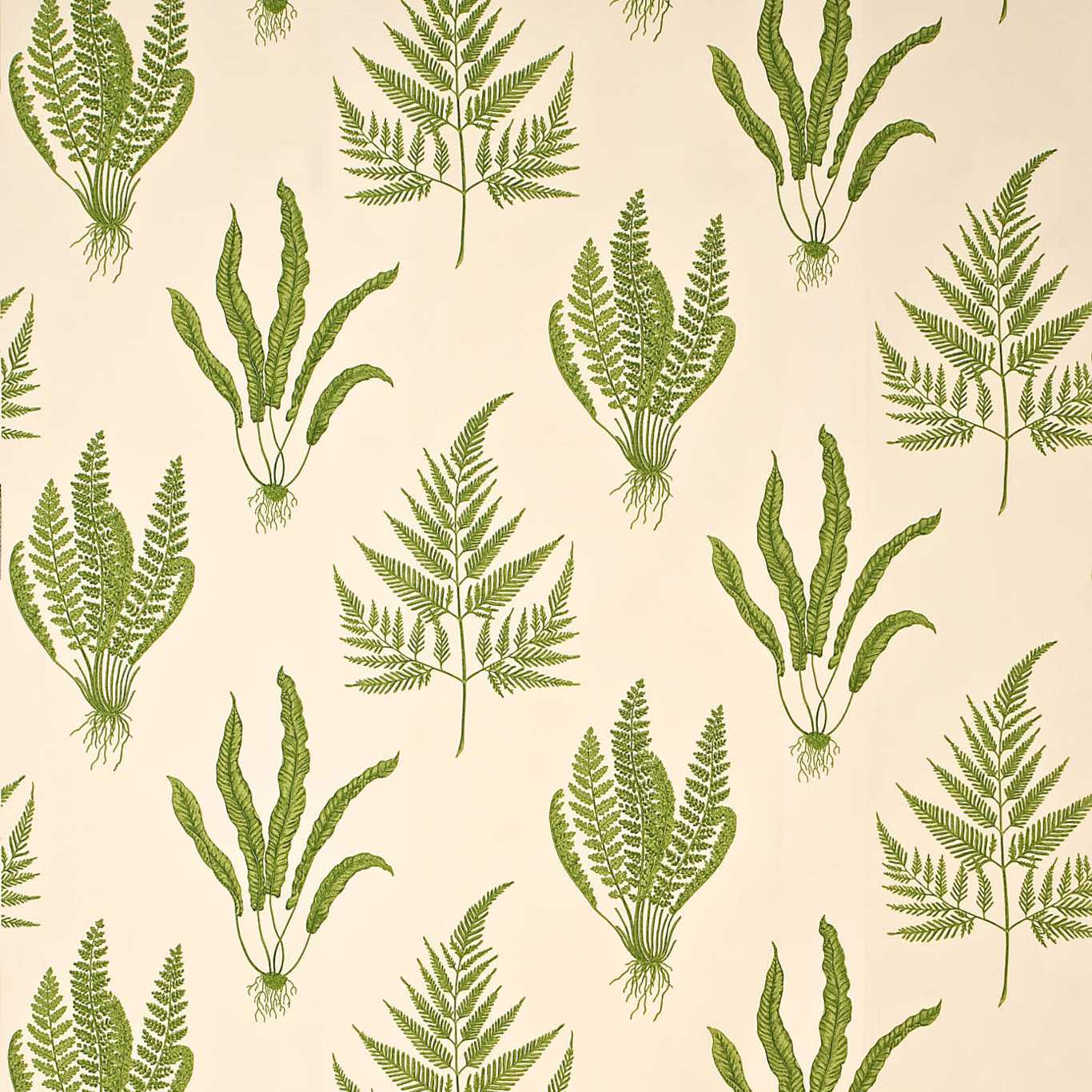 SANDERSON Woodland Ferns Fabric Leaves , Trees Green - DAPGWO202