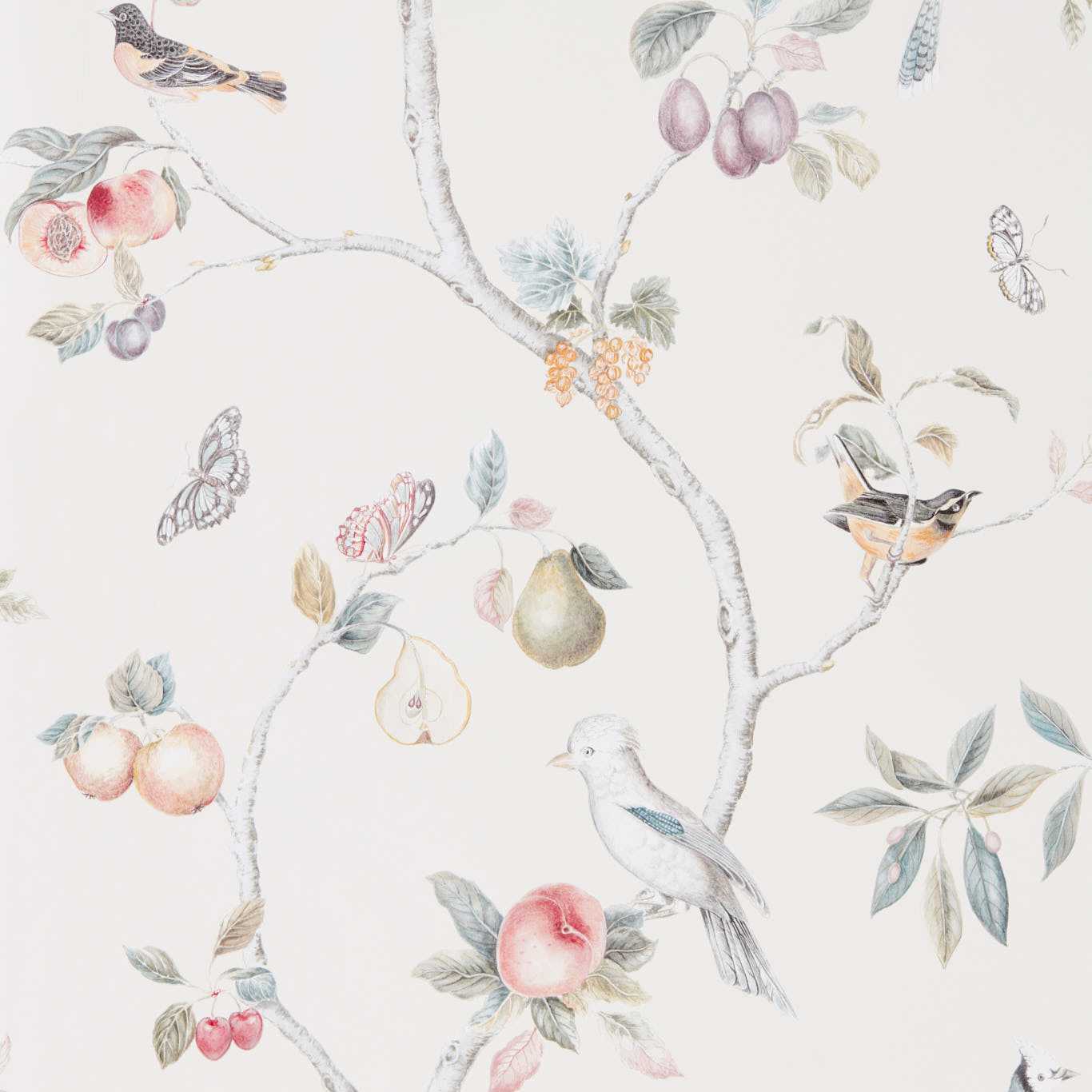SANDERSON Fruit Aviary Wallpaper Birds Cream,Multi Gravure - Wide Width Printed Wallpaper - DART216314