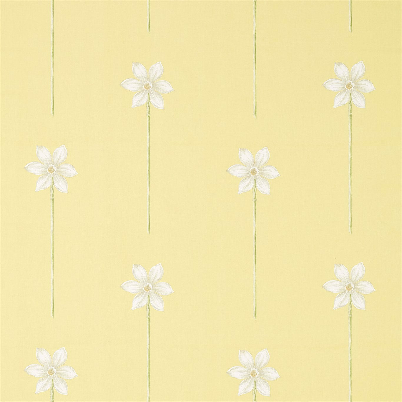SANDERSON OUTLET Thalia Fabric Contemporary Floral Daffodil,Natural - DART226317