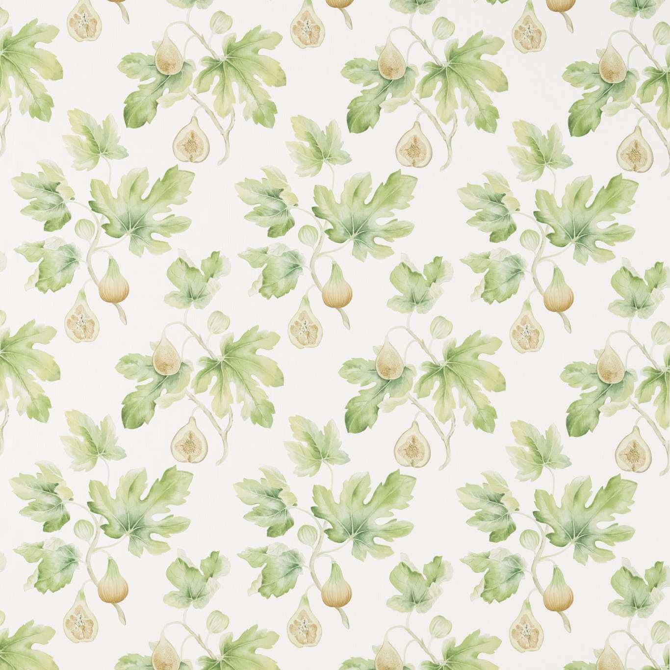 SANDERSON Fig Harvest Fabric Leaves , Trees Garden Green - DART226329