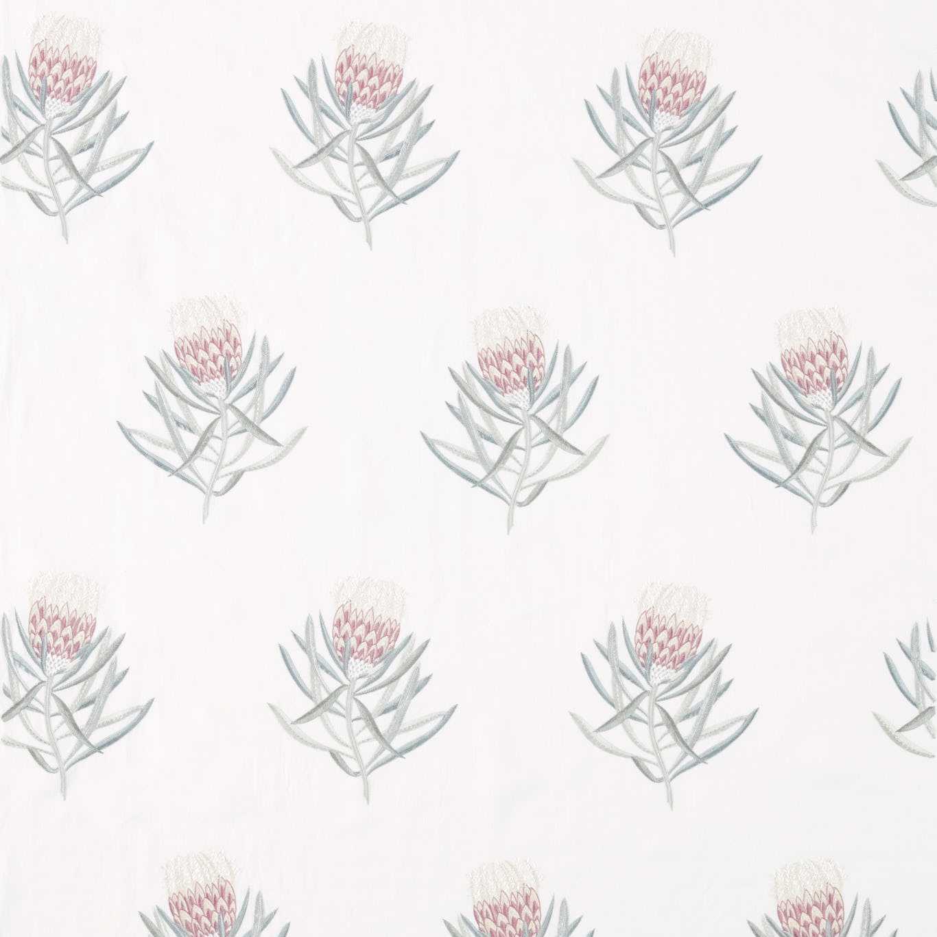 SANDERSON Protea Flower Fabric Contemporary, Floral Porcelain,Orchid - DART236352
