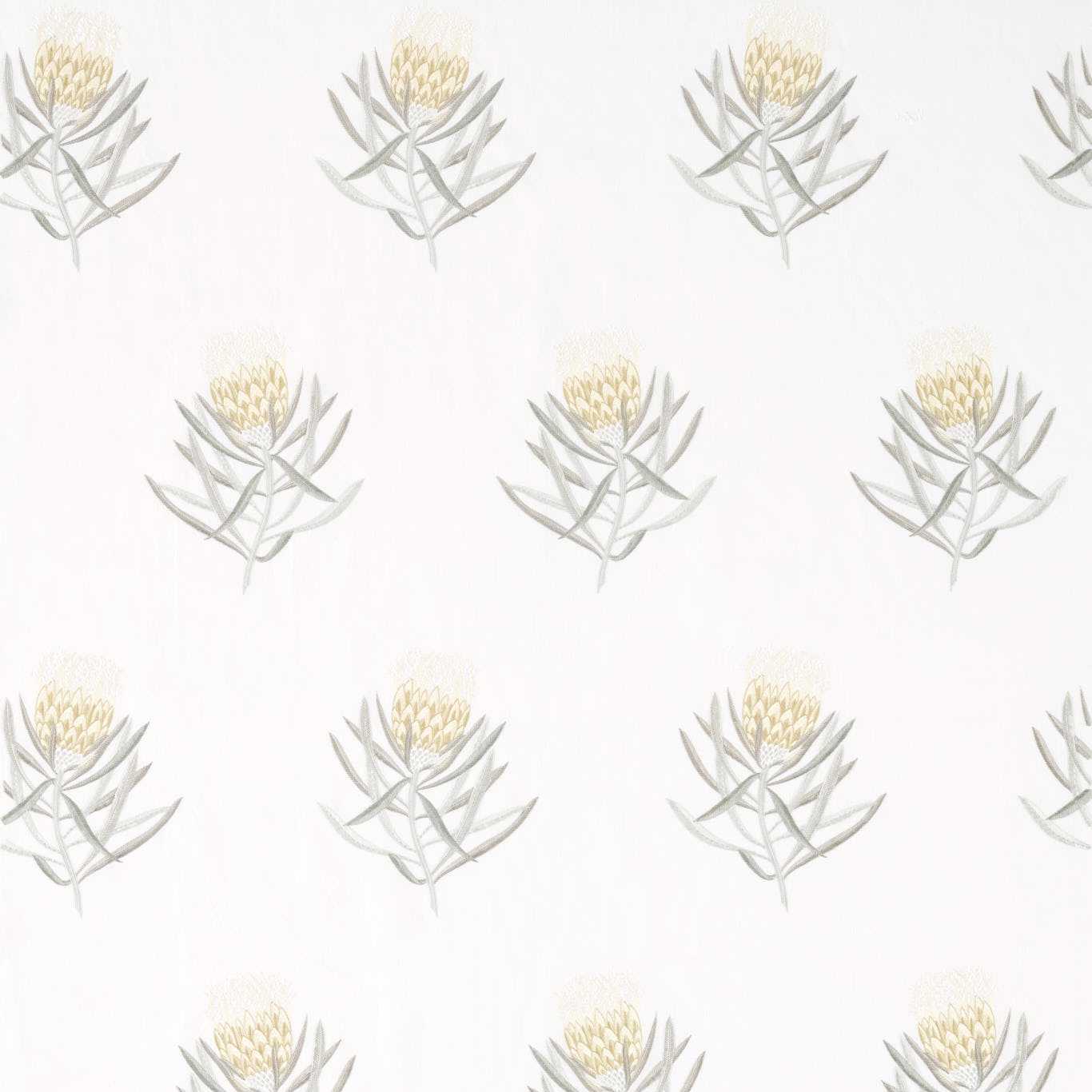 SANDERSON Protea Flower Fabric Contemporary, Floral Daffodil,Natural - DART236355