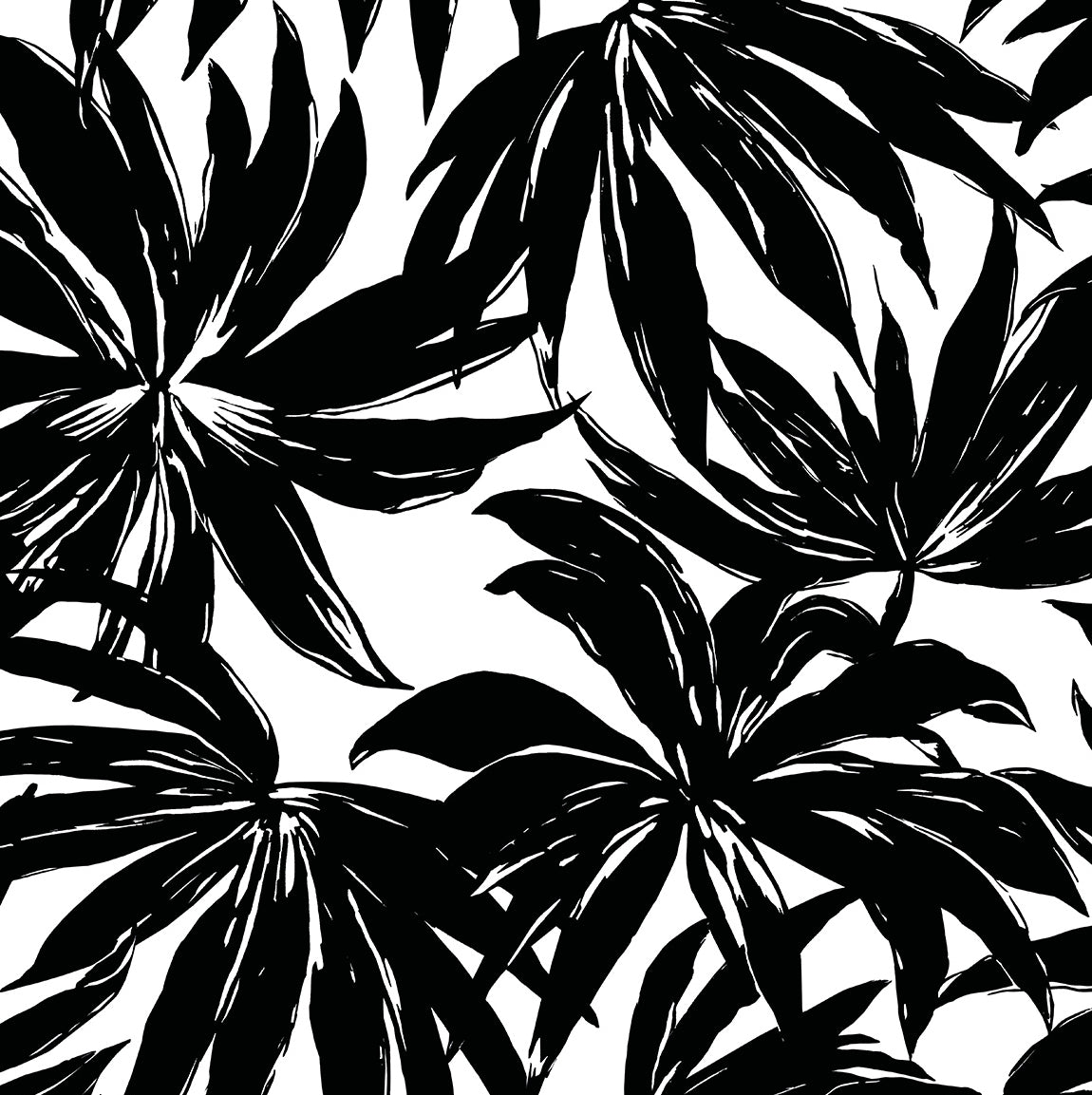 Daisy Bennett Designs West Boulevard Collection Palma Botanical Coastal Black Matte - DBW9111