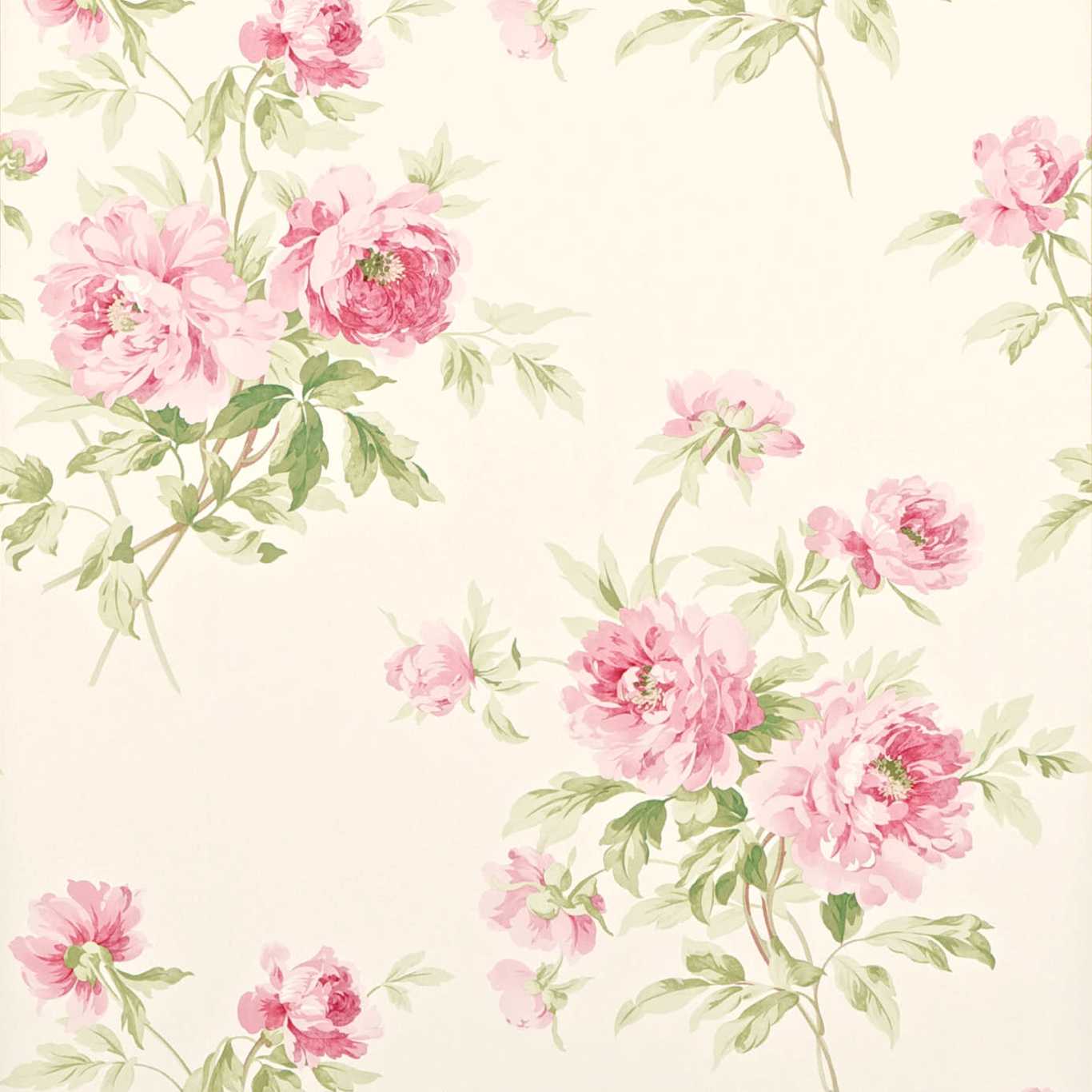 SANDERSON Adele Wallpaper Classic Floral Rose, Cream Gravure Printed Wallpaper - DCAVAD101