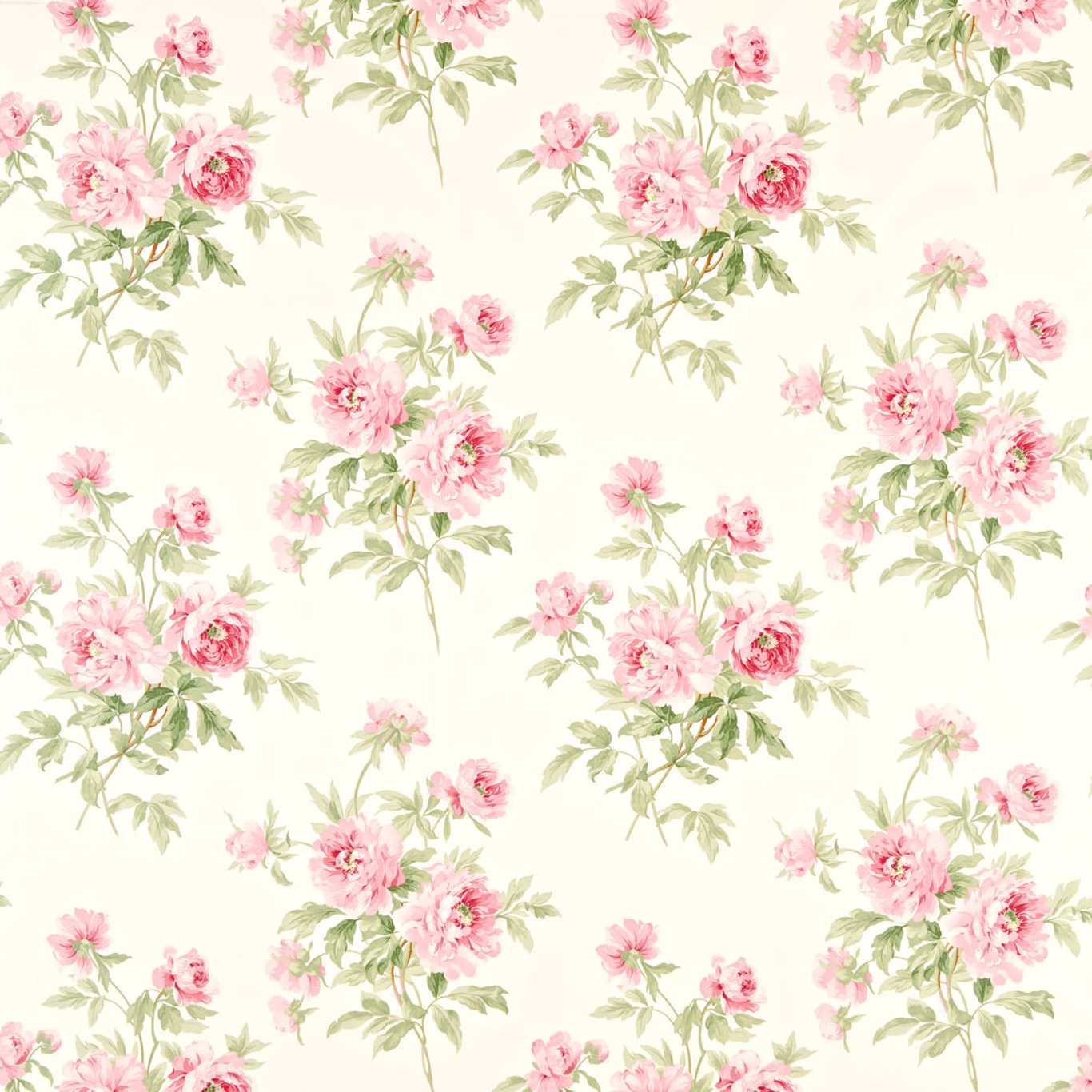 SANDERSON Adele Fabric Classic Floral Rose, Cream - DCAVAD201