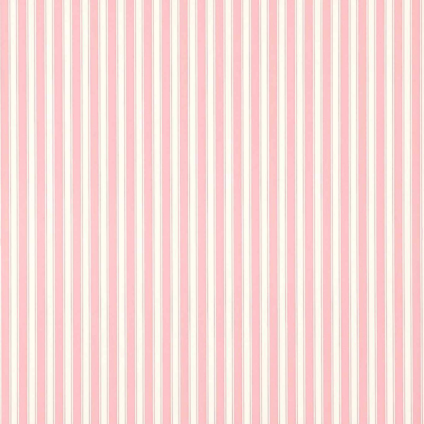 SANDERSON New Tiger Stripe Wallpaper Stripes Rose, Ivory Flexo-Printed Wallpaper - DCAVTP101