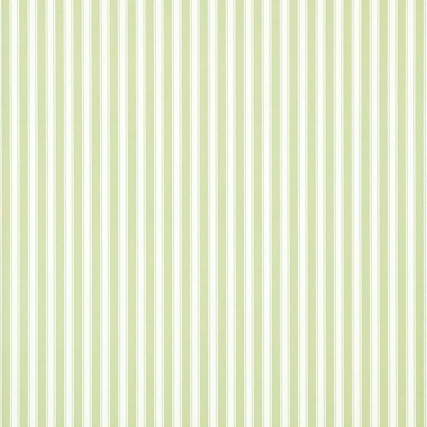 SANDERSON New Tiger Stripe Wallpaper Stripes Leaf Green, Ivory Flexo-Printed Wallpaper - DCAVTP103