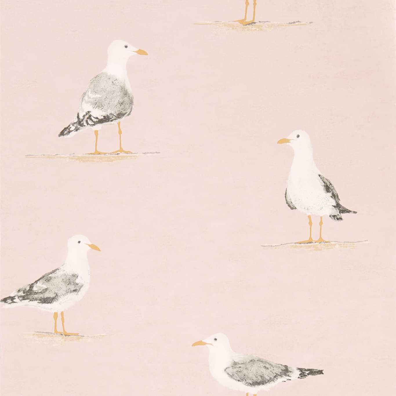 SANDERSON Shore Birds Wallpaper Birds Blush Gravure Printed Wallpaper - DCOA216562