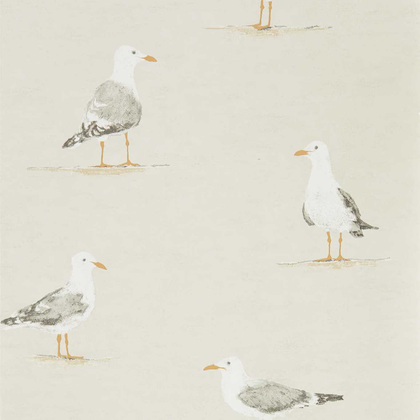 SANDERSON Shore Birds Wallpaper Birds Driftwood Gravure Printed Wallpaper - DCOA216563
