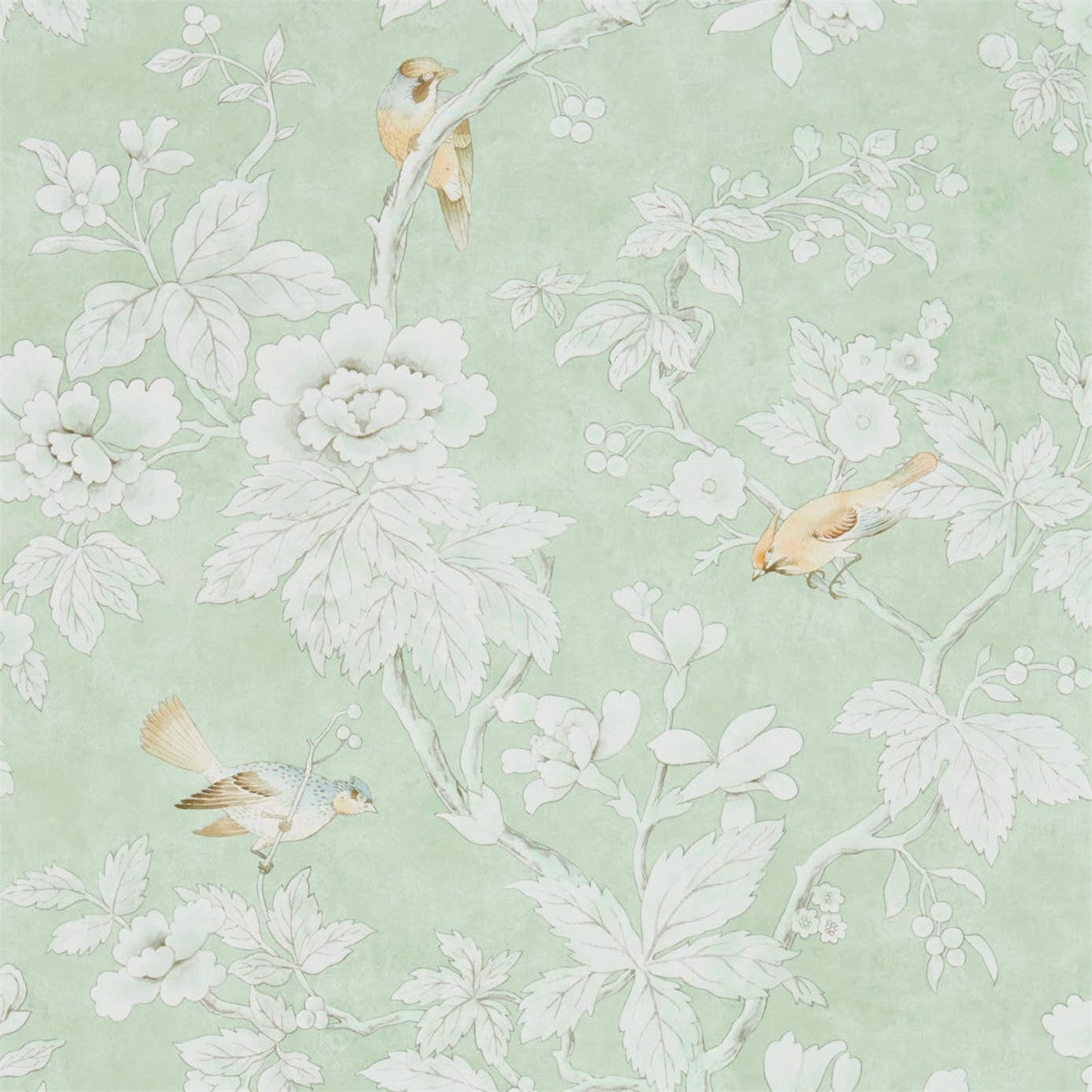 SANDERSON Chiswick Grove Wallpaper Birds Sage Gravure - Wide Width Printed Wallpaper - DDAM216387