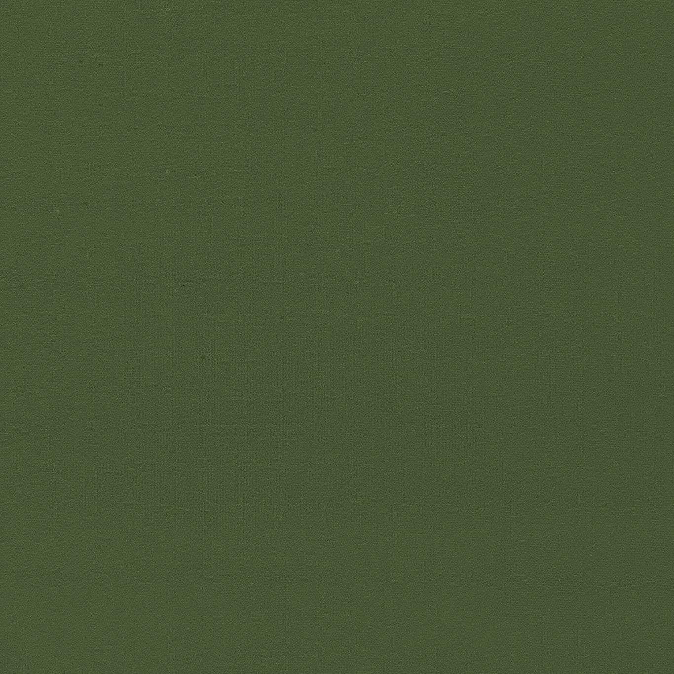 SANDERSON Dorton Fabric Plains , Textures Cactus - DDVC236998