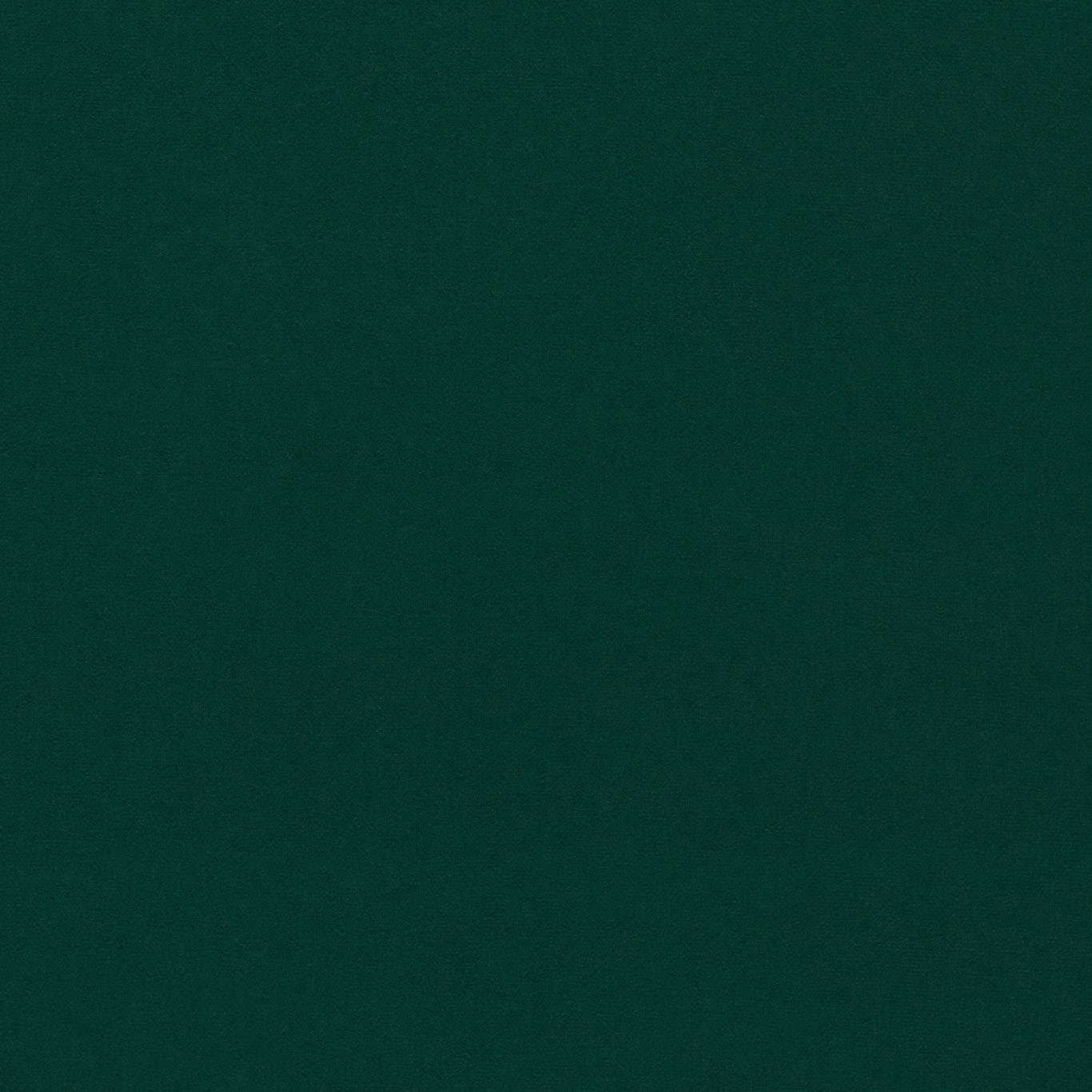 SANDERSON Dorton Fabric Plains , Textures Forest - DDVC237006