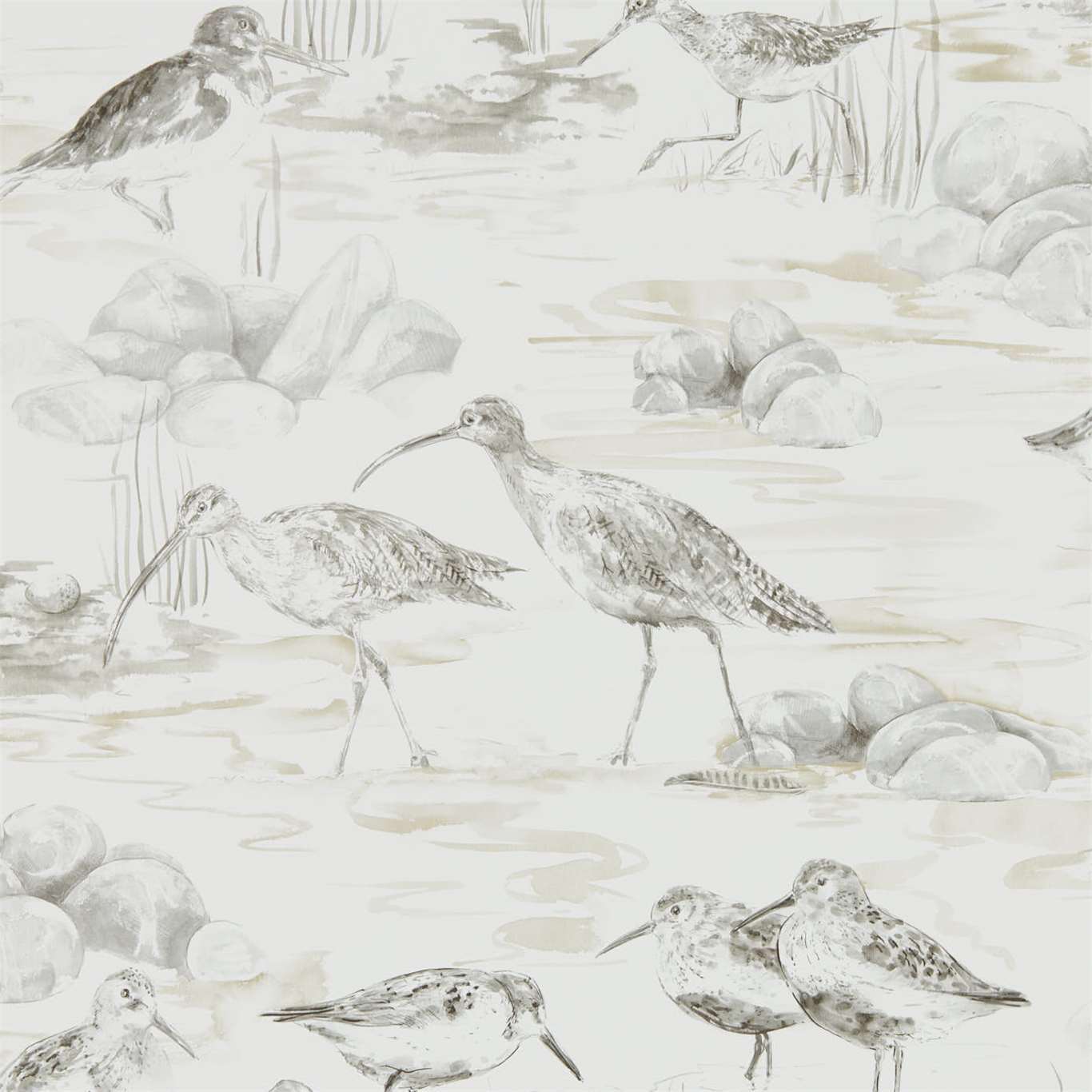 SANDERSON Estuary Birds Wallpaper Birds Chalk,Sepia Gravure Printed Wallpaper - DEBB216493