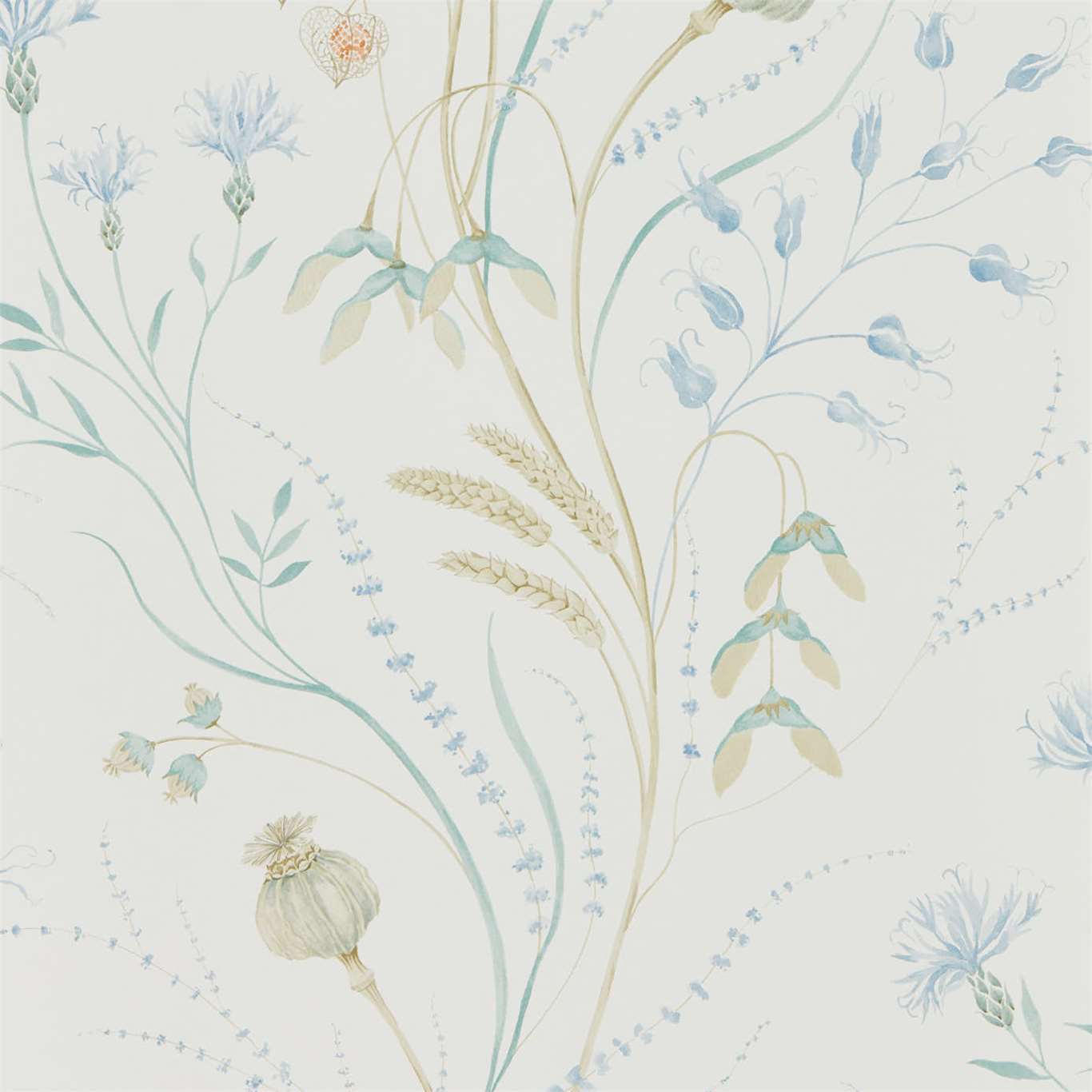 SANDERSON Summer Harvest Wallpaper Classic Floral Cornflower,Wheat Gravure Printed Wallpaper - DEBB216496