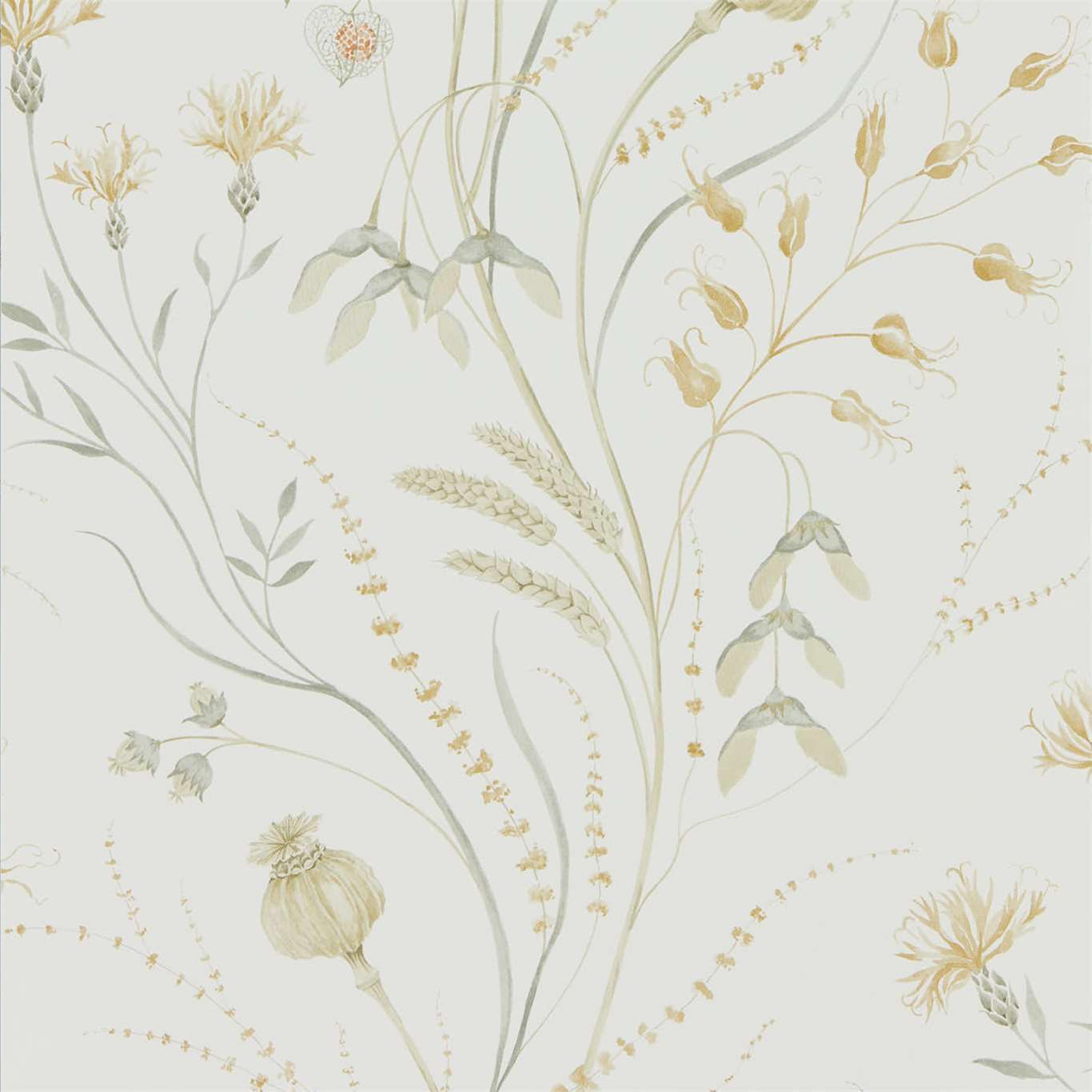 SANDERSON Summer Harvest Wallpaper Classic Floral Silver Corn Gravure Printed Wallpaper - DEBB216497