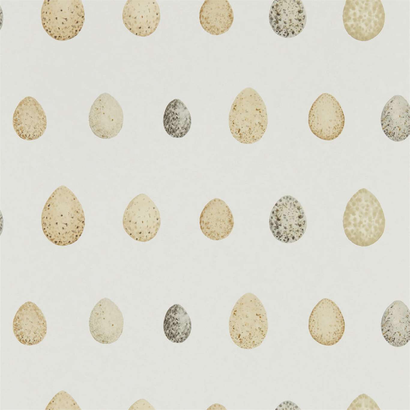 SANDERSON Nest Egg Wallpaper Other Corn Graphite Gravure Printed Wallpaper - DEBB216505
